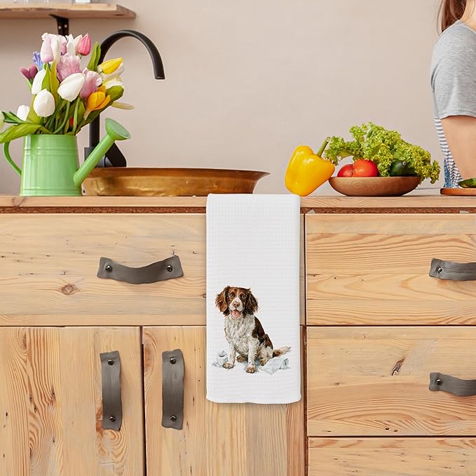 Funny Springer Spaniel Gifts Bathroom Hand Towels, Dog Bathroom Decor, Gifts for Springer Spaniel Lovers Dish Tea Towels, Kids Bath Room Washroom Toilet Decorative Hand Towel 16x24 Inch