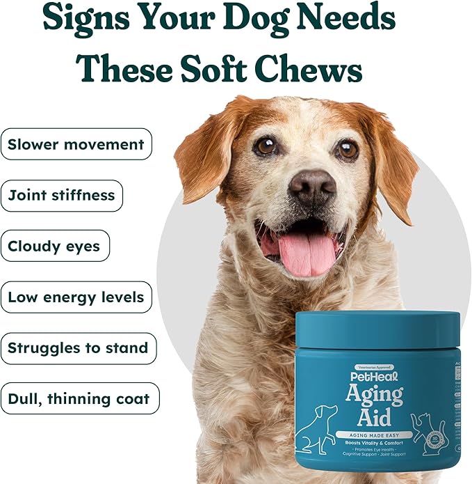 PetHeal Aging Aid Chews for Senior Dogs - Vet-Reviewed - Supports Joints, Energy & Vision with Hemp, DHA, Blueberry & Spinach | Fights Inflammation & Promotes Vitality | 30 Pork-Flavored Soft Chews