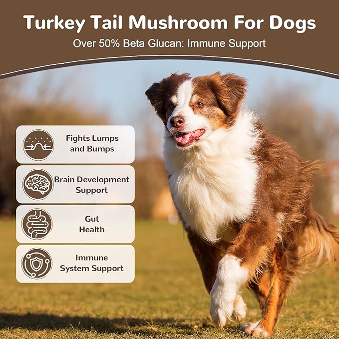 Turkey Tail Mushroom for Dogs, Organic 10 Mushroom Blend for Lumps and Bumps, Dog Herbal Supplements Probiotic with 50% β-Glucan, Joint Gut Immune Skin Support - 120g