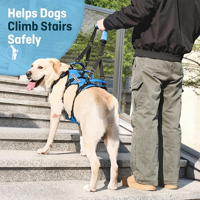 Dog Lift Harness for Large Dogs, Full Body Support Sling with 3 Handles and Shoulder Strap, Carrying Vest for Senior Dogs with Arthritis or Joint Injuries, Stairs Assistance, Blue, X-Large
