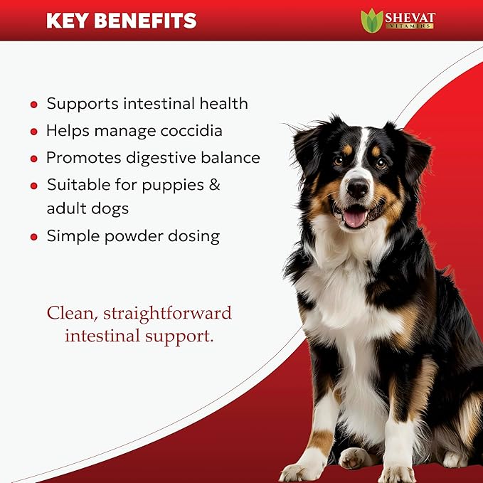 NMN Longevity Soft Chews for Dogs – Beef Flavored – Antioxidant Support for Joint Health, Immune Function, and Cellular Protection – 120 Count
