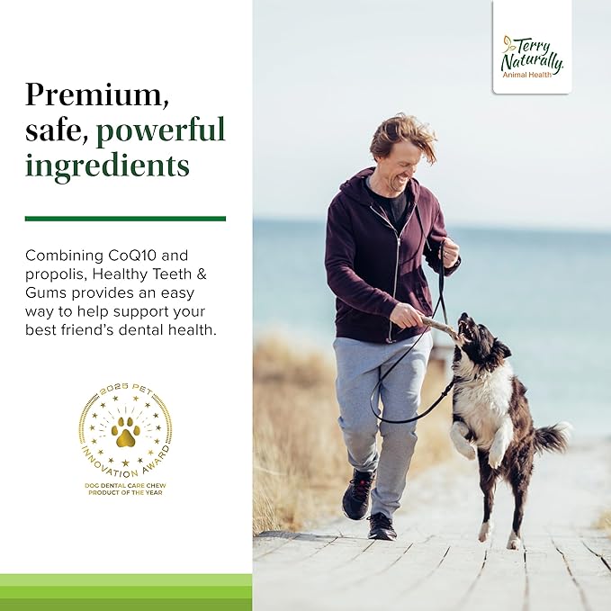 Terry Naturally Healthy Teeth & Gums - for Dogs- Supports Dental Health & Helps Freshen Breath - Supports Healthy Gums - 60 Tablets