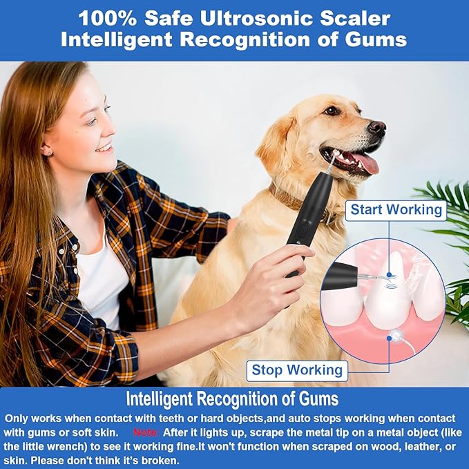 Dog Teeth Cleaning Kit,Dogs Tooth Brushing Kit with Light,3 Modes Doggie Toothbrush, Dog Plaque and Tartar Remover for Teeth,Low Noise Pet Teeth Cleaner,Dark Black