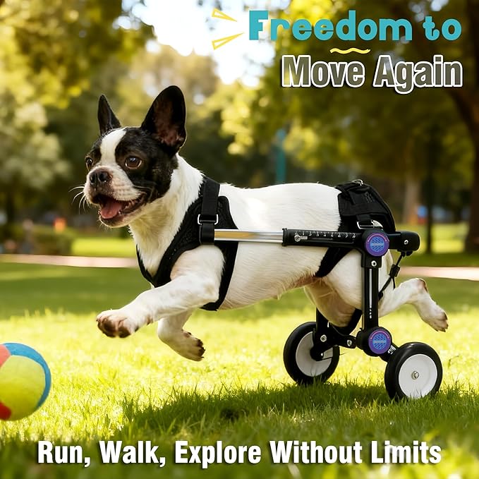 Adjustable Dog Wheelchair for Back Legs Mobility Support Lightweight Pet Wheelchair for Disabled Hind Legs Walking Stable Dog Cart for Pets, Pink (Small)