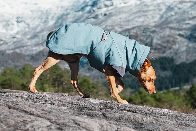 Hurtta Expedition Parka, Winter Dog Coat, Bilberry, 18XS