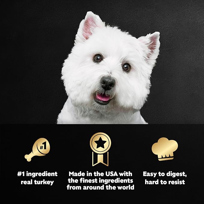 Cesar Filets in Gravy, Adult Wet Dog Food, Turkey Recipe, Wet Food for Dogs, 3.5 oz Trays, 24 Count