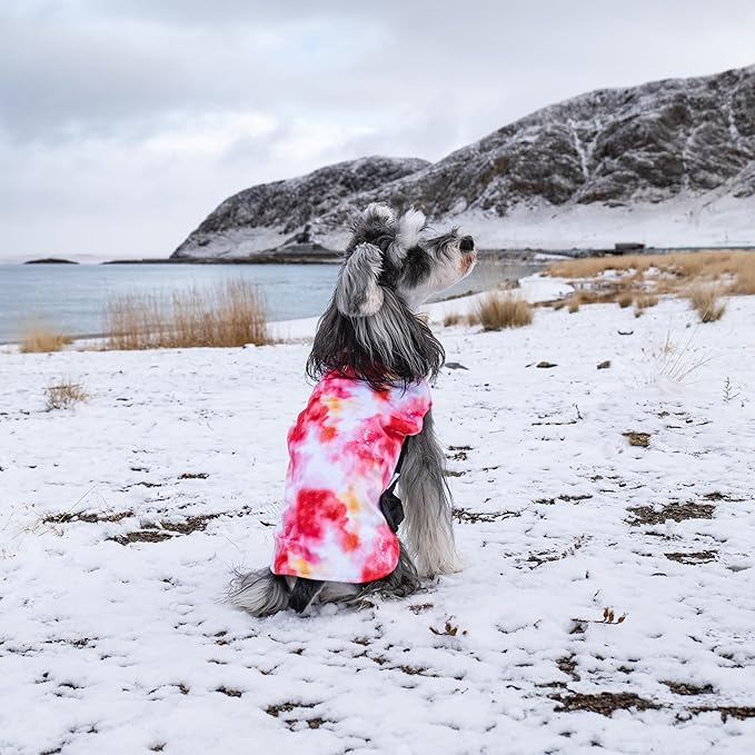 CuteBone Winter Dog Coat - Waterproof & Windproof Jacket, Reversible Vest, Thick Soft Coats for Small, Medium & Large Dogs, with Leash Hole GMF29M