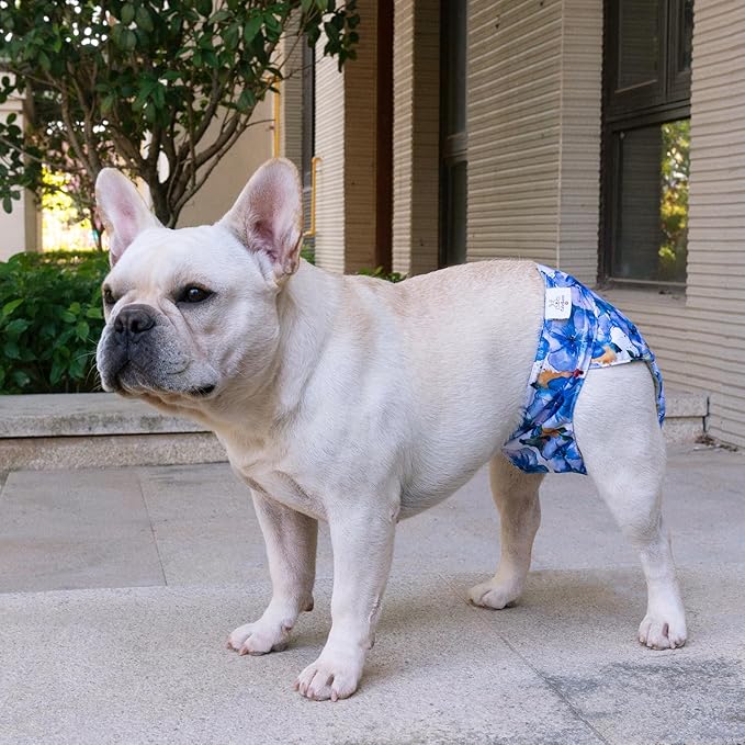 CuteBone Washable Dog Diapers Female No Tail Hole 3 Pack Reusable Doggie Period Training Pants for Docked-Tail Frenchie French Bulldog Boston Terrier Without Tail WWD04L