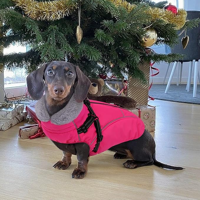 XL Dog Winter Coat with Harness Built in, Dog Puffer Jacket for Large Dogs, Pet Warm Winter Vest, Rose XL