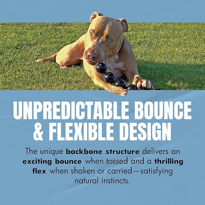 Vigor Interactive Dog Toy – Weighted & Flexible for Shake and Fetch Play – 1 lb (16 oz)
