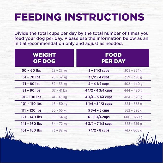 Wellness Complete Health Dry Dog Food, Large Breed, Wholesome Grains, Natural, Chicken & Brown Rice Recipe, (15-Pound Bag)