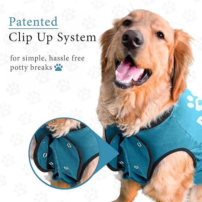 BellyGuard Dog Surgery Recovery Suit, Dog Onesie for Post-Op Care, Recovery Apparel for Female and Male, Surgical Body Cover for Canine Healing Support