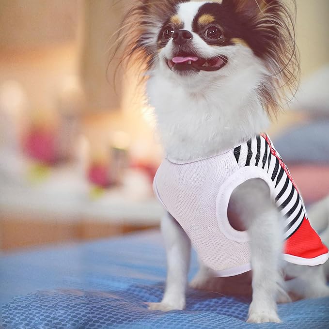 4 Pack Mesh Dog Shirts for Small Dogs: Stretchy Dog Clothes with Cute Patterns, Size XXS-XL Fit for 2-16lb Dogs Pet T-Shirts, Girl & Boy Puppy Clothes for Spring Summer (Pink Set, Medium)