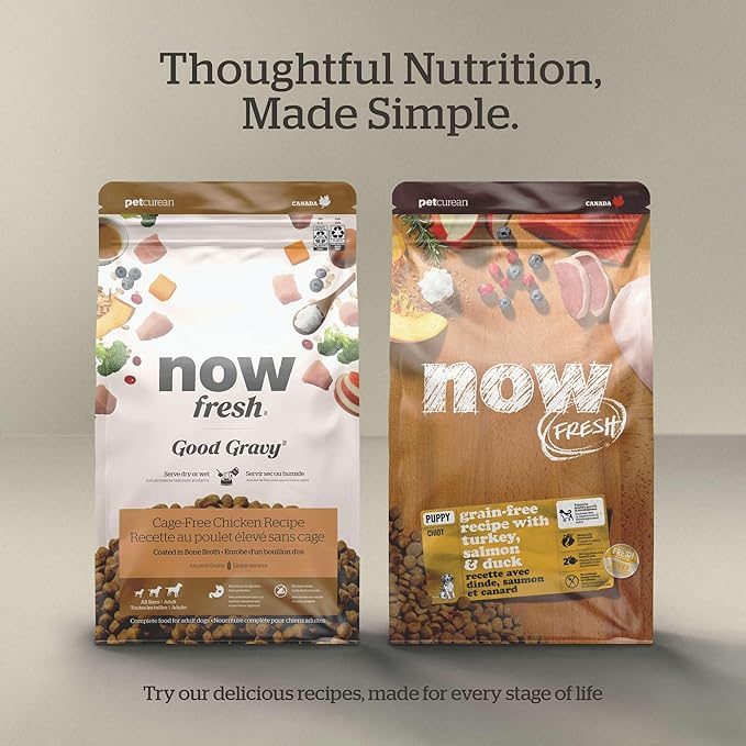 Now Fresh Grain-Free Senior Dry Dog Food with Turkey, Salmon & Duck, Premium Kibble Made with Real Poultry & Fish, Chicken-Free Recipe, Glucosamine & Chondroitin for Healthy Joints, 12 lb Bag