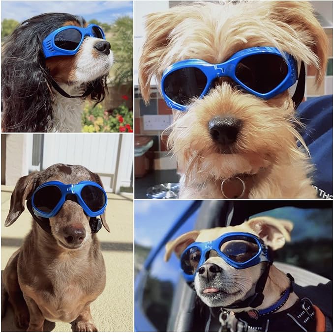 NAMSAN Dog Goggles for Small to Medium Dogs, Dog Sunglasses UV Protection for Medium Dogs Outdoor Cycling Driving, Small Puppy Glasses Dog Eye Protection, Anti-Fog Windproof, Adjustable, Blue