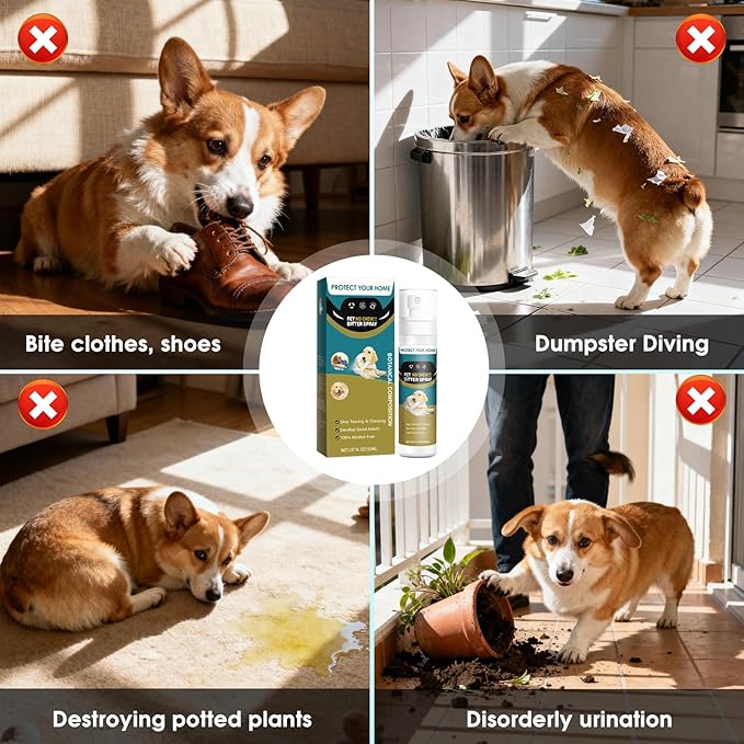 QHZ No Chew Spray for Dogs Bitter Apple Spray to Stop Chewing, Training Deterrent for Puppies & Adult Dogs, Protects Furniture, Shoes, Cords
