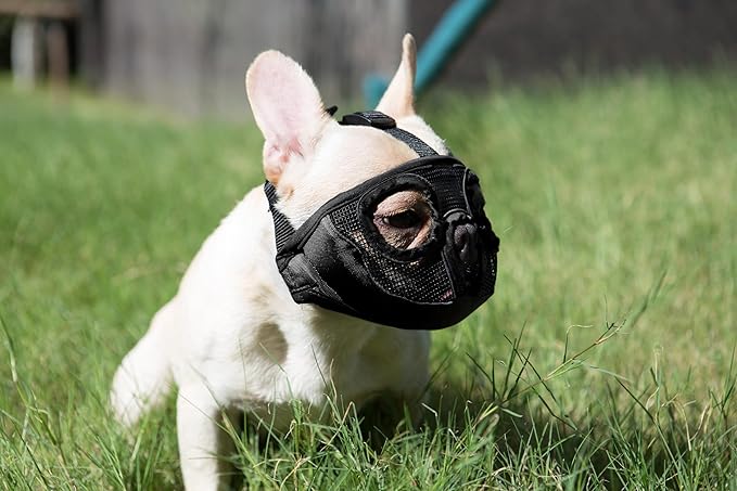 Short Snout Dog Muzzles- Adjustable Breathable Mesh Bulldog Muzzle for Biting Chewing Licking Training Grooming Dog Mask (Black, Small/9"-12")