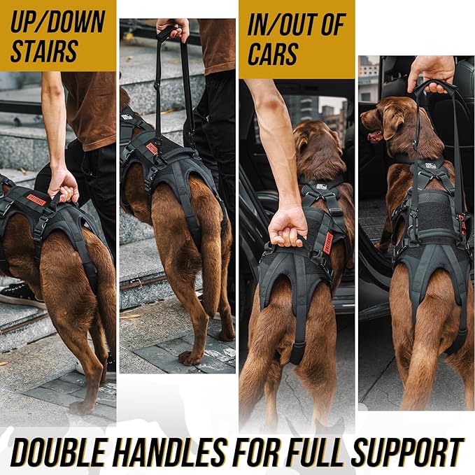 OneTigris Dog Support Harness for Back Legs, Dog Lift Sling for Large Dogs Hind Legs, Canine Dogs Hip Support Brace Ideal for Elderly Injured Arthritic Provides (Black, S)