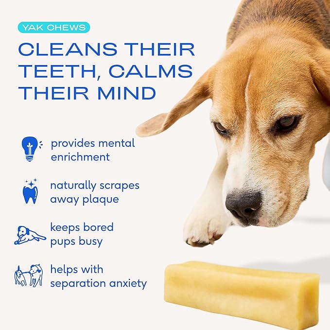Native Pet Yak Cheese Himalayan Dog Chews - Long Lasting Dental Sticks for Small Breeds– 100% All Natural Himalayan Yak Chews for Small Dogs – Cheese Bone for Aggressive Chewers - 15 Per Pack