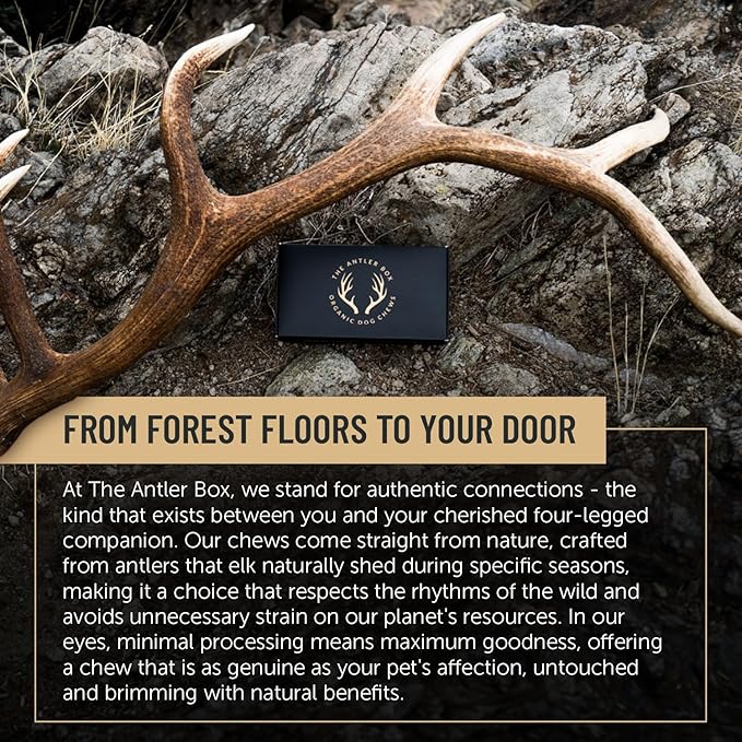 The Antler Box Premium Elk Antler Dog Chews (1 Pound Box) (X-Large (2 Pieces) Whole/Split Mixed)