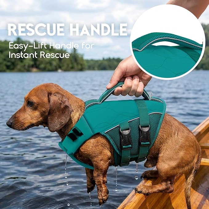 ASENKU Dog Life Jacket, High Floatation Dog Swimming Vest with Rescue Handles for Small Medium Large Dogs, Pet Safety Swimsuit Preserver for Pool Beach Boating (LakeGreen, XS)