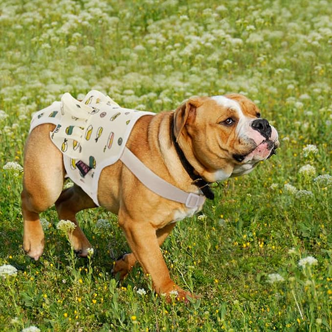 QBLEEV Dog Diapers Female Washable Sanitary Pantie with Adjustable Suspender, Reusable Doggie Diapers for Male Dogs in Heat, Cotton Puppy Pet Period Panties Dog Underwear for Teddy French Bulldog M