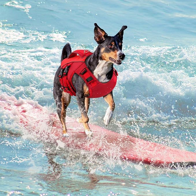 Queenmore Dog Life Jacket,Life Vest for Extra Large Dogs,Reflective Dog Swimming Jacket,Superior Buoyancy Pet Lifesaver,High Floating Pet Life Vest for Swimming(Red,XL)