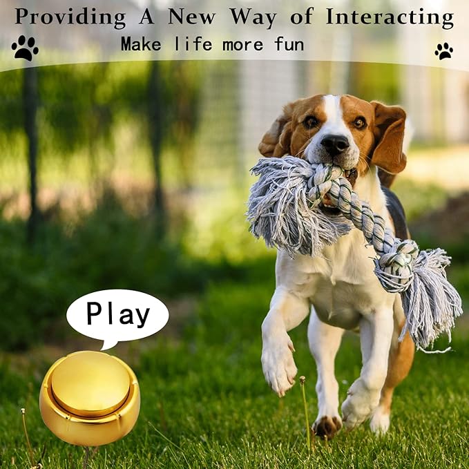 Gold Recordable Button - Easy 30 Sec Talking Button Easy Button Answer Buzzers Custom Sound Button for Dogs Training Classroom Study Office Home Game