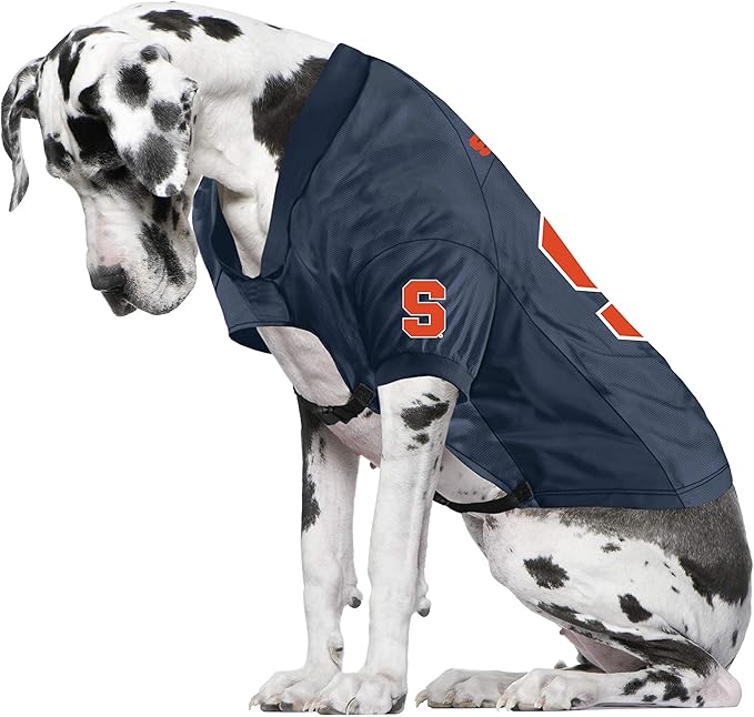 Littlearth Syracuse Orange NCAA Stretch Pet Jersey