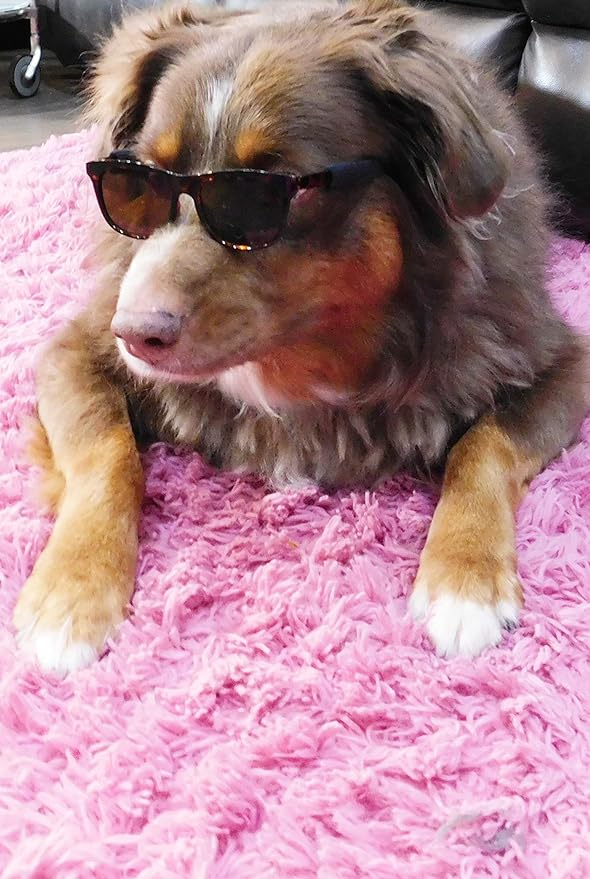 G006 Dog Pet 80s Costume Sunglasses Prop Photoshoot Medium Breeds 20-40 lbs (2-Pack Black+Tortoise Brown)