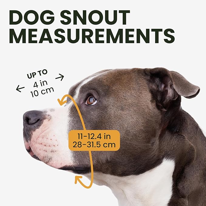 BRONZEDOG Pitbull Dog Muzzle Breathable Metal Basket for Large Dogs Amstaff Staffordshire Terrier Biting Chewing Barking (Leather, Gray)