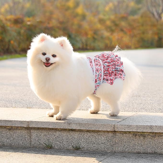 Washable Dog Diapers Female 3 Pack Reusable Premium Highly Absorbent Doggie Diapers, Flexible Puppy Diapers, Durable Leak-Proof Leopard Dog Diapers for Period Heat Incontinence Puppy Training, M