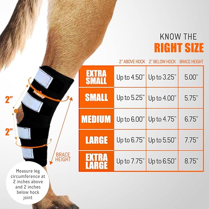 NeoAlly® - Rear Leg Hock Brace, Dog Leg Brace for Rear Leg, Hock & Ankle Support for Large Dogs, Dog Brace for Torn Acl and Ccl, Long Version, Large, 1 Pair