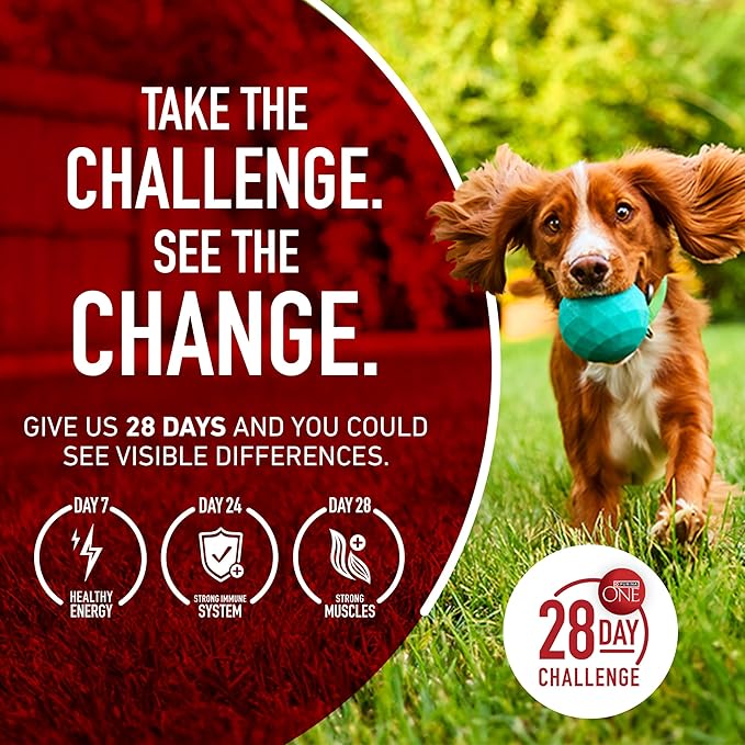 Purina One +Plus Dry Dog Food for Large Adult Dogs High Protein, Real Chicken - 31.1 lb Bag