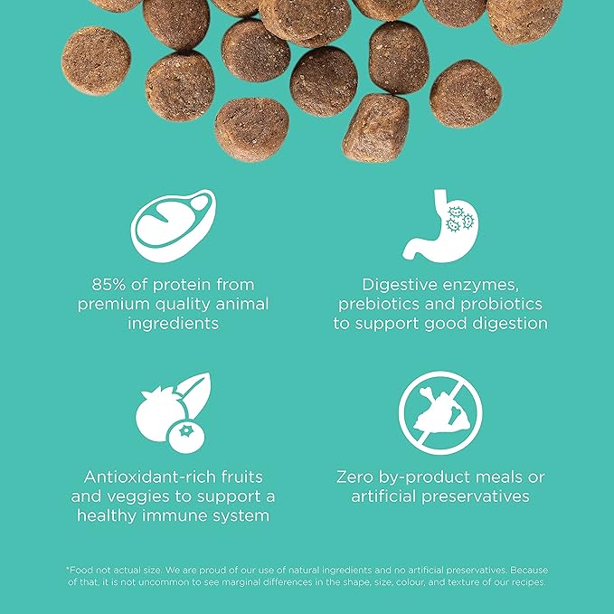 Go! Solutions Carnivore Chicken, Turkey + Duck Grain-Free Dry Adult Dog Food, Our Highest-Protein Kibble Made with Real Meat & Fish, Pumpkin & Probiotics for Good Digestion, 22 lb Bag