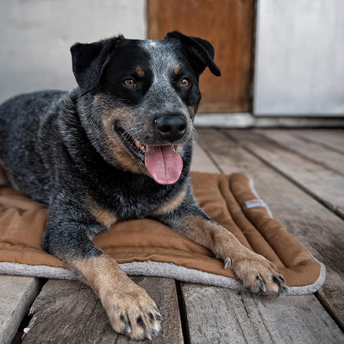 Carhartt Durable Firm Duck Sherpa Top Dog Napper Pad, Washable Duck Canvas Pads for Dogs, Sherpa Top Napper Pad (Carhartt Brown), Large