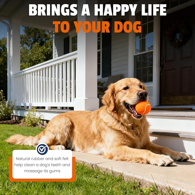 Tennis Balls for Dogs 80 Pack,2.5 inches,Durable and Non-Toxic Dog Toys Balls with Mesh Bag,Colorful Fetch Toys Balls for pet Dog (Non Squeaky)