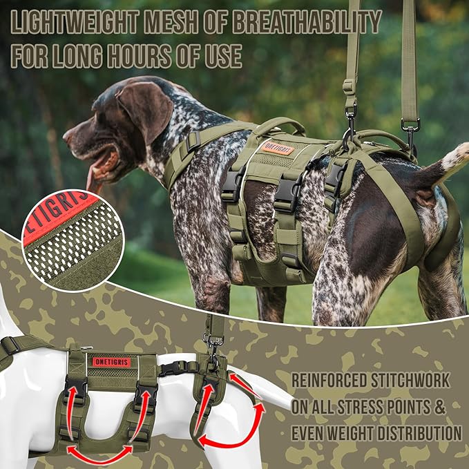 OneTigris Breathable Dog Lift Harness for Medium Sized Dogs, Dog Sing for Large Dogs Hind Leg Support, Hip Support Brace Front Leg Vrace (Green, Medium)