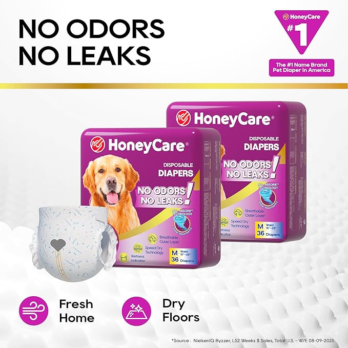 HONEY CARE All-Absorb Disposable Female Dog Diapers M Size, Improved Bigger Size, 36 Count, Super Absorbent, Breathable, Wetness Indicator (Pack of 1, 36 Count Total)