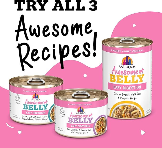 Weruva Awesome Belly Wet Dog Food, Beef & White Rice, 14oz Can (Pack of 10)