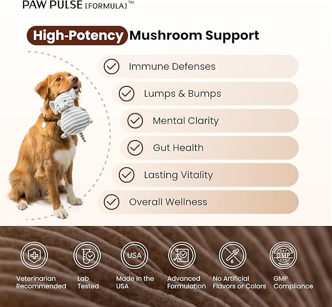 Pawpulse Formula Immune Defense Mushrooms for Dogs - Cellular Growth, Turkey Tail and Lions Mane for Cognitive Support, Lumps and Bumps, Gut Health and Longevity - Senior Dog Supplement, 80 Chews