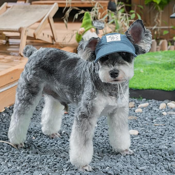 Pet Dog Baseball Cap, Cat Hat, Cat Dog Sun Cap with Ear Holes, Adjustable Puppy Outdoor Sun Hat (Blue, X-Small)