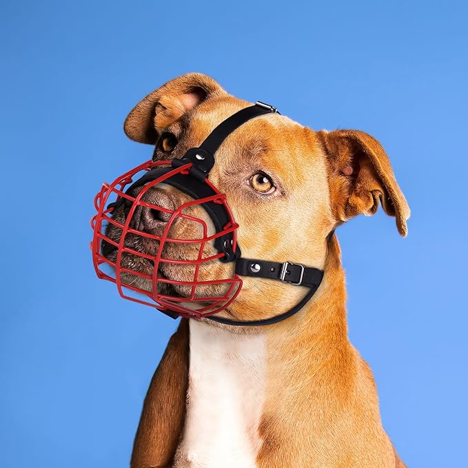Pitbull Dog Muzzle Metal Mask Amstaff Secure Wire Basket Adjustable Durable Leather Straps for Large Dogs (Red)