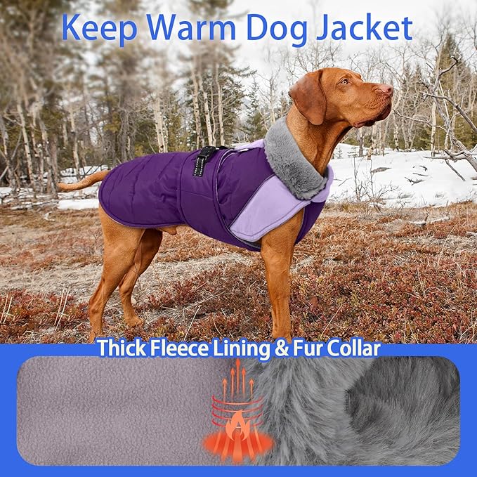 MIGOHI Waterproof Dog Winter Coat - Thick Dog Fleece Jacket with Reflective Strips, Warm Winter Snowsuit Sweater for Small Dogs,Machine Washable,French Bulldog,M,Purple