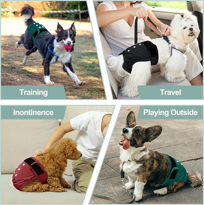 3 Pack Female Dog Diapers - Reusable Diapers for Doggie in Heat - Highly Absorbent Dog Diapers Female for Pet Incontinence with Adjustable Snaps (Red,Grreen,Black, S)