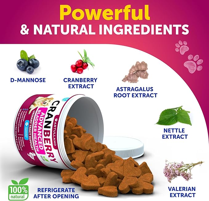 Dog UT Treatment - Cranberry Chews for Dogs - Urinary Tract & Bladder Support Supplement with Natural Cranberry Extract - Tasty 120 Soft Bites for Daily Wellness with Fish Oil, Pumpkin, D-Mannose