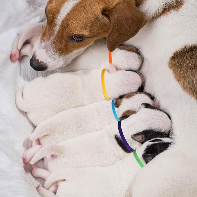 Weewooday 45 Pieces Puppy Whelping Collars Newborn Double-Sided Puppy ID Collars Soft Adjustable Identification Bands 3 Sizes for Newborn Pet Dog Kittens, 15 Colors