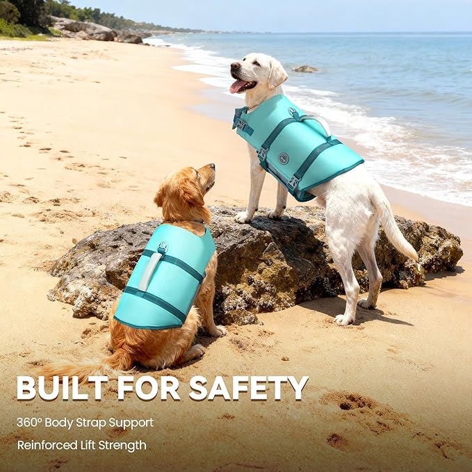 VIVAGLORY Rip Stop Dog Life Vest, Swimming Vest with Handle, Buoyancy for Doggy Puppy, Dog Life Jacket for Swimming & Boating, XXS, Cyan