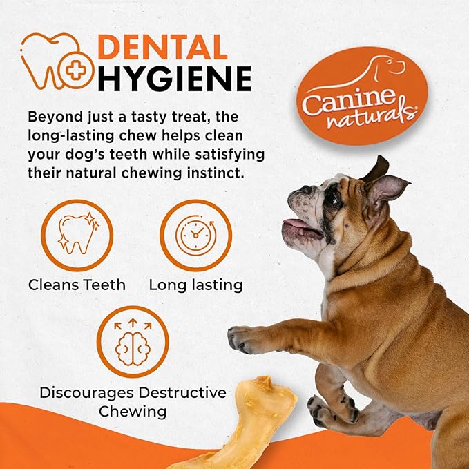 Canine Naturals IrresistiBONES Long Lasting Puppy Chicken and Rice Chew - Made with USA Chicken - All Natural - Added DHA for Healthy Growth - 6 Pack