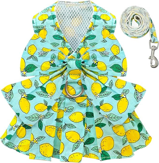 BAEJMJK Dog Dress Bowknot Harness Leash Set for Small Dogs Cats Girl Floral Princess Dog Dresses Cute Puppy Fruit Clothes Pet Doggy Outfits Spring Summer Breathable Dresses(Green,Medium)